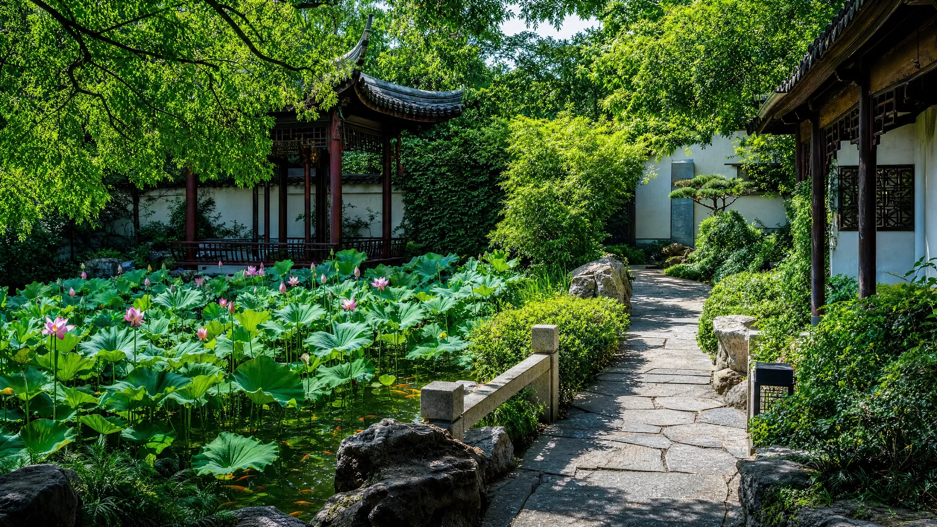 庭院景观夏景:荷叶田田、绿意浓郁的中式庭院